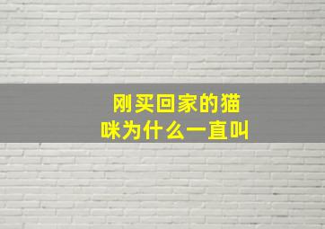 刚买回家的猫咪为什么一直叫