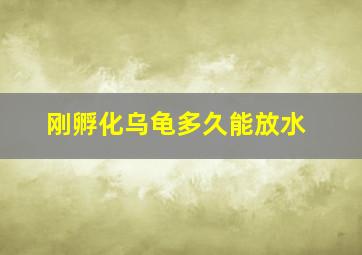 刚孵化乌龟多久能放水