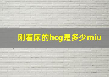 刚着床的hcg是多少miu