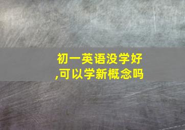 初一英语没学好,可以学新概念吗