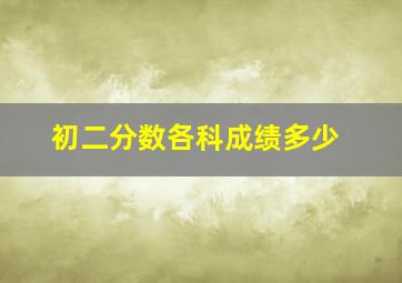 初二分数各科成绩多少