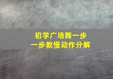 初学广场舞一步一步教慢动作分解