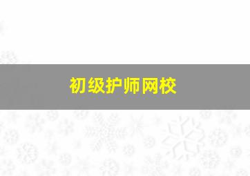 初级护师网校