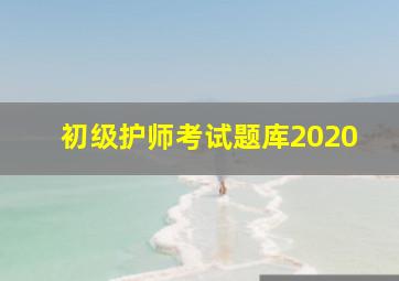 初级护师考试题库2020