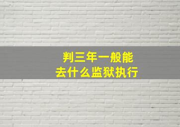 判三年一般能去什么监狱执行