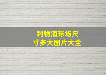 利物浦球场尺寸多大图片大全