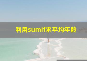 利用sumif求平均年龄