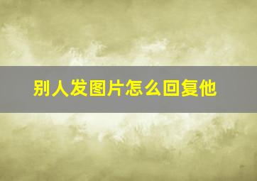 别人发图片怎么回复他