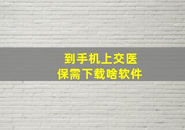 到手机上交医保需下载啥软件