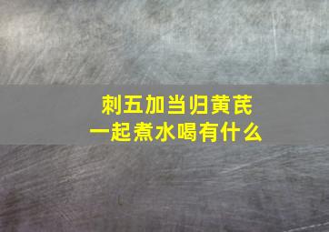 刺五加当归黄芪一起煮水喝有什么