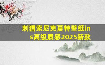 刺猬索尼克夏特壁纸ins高级质感2025新款