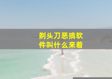 剃头刀恶搞软件叫什么来着