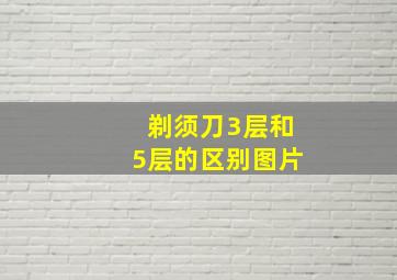 剃须刀3层和5层的区别图片