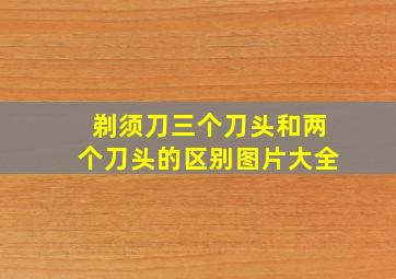 剃须刀三个刀头和两个刀头的区别图片大全