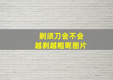 剃须刀会不会越剃越粗呢图片