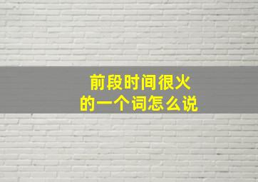 前段时间很火的一个词怎么说