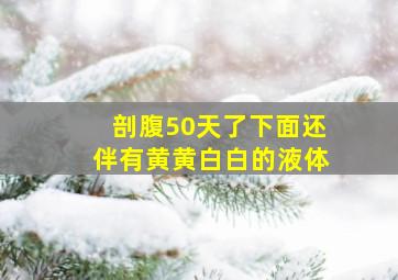 剖腹50天了下面还伴有黄黄白白的液体