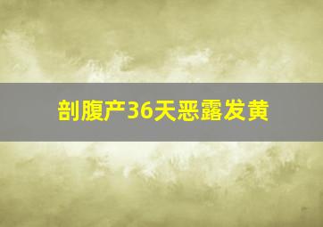 剖腹产36天恶露发黄