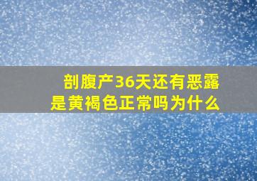 剖腹产36天还有恶露是黄褐色正常吗为什么