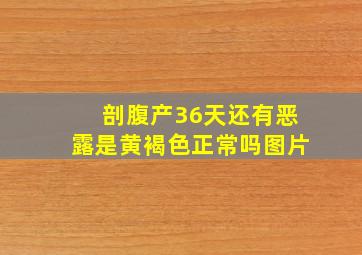 剖腹产36天还有恶露是黄褐色正常吗图片