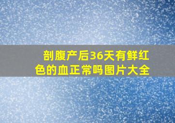 剖腹产后36天有鲜红色的血正常吗图片大全