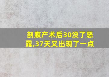 剖腹产术后30没了恶露,37天又出现了一点