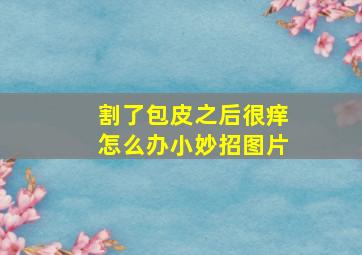 割了包皮之后很痒怎么办小妙招图片