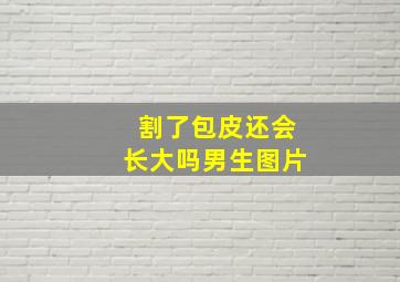 割了包皮还会长大吗男生图片