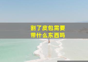 割了皮包需要带什么东西吗