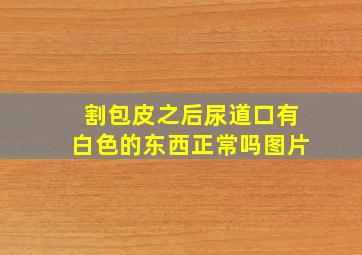 割包皮之后尿道口有白色的东西正常吗图片