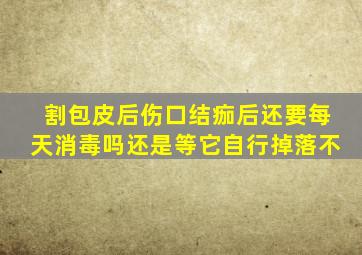 割包皮后伤口结痂后还要每天消毒吗还是等它自行掉落不