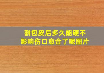 割包皮后多久能硬不影响伤口愈合了呢图片