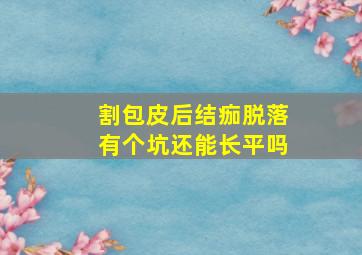 割包皮后结痂脱落有个坑还能长平吗