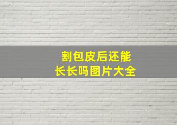 割包皮后还能长长吗图片大全