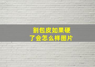 割包皮如果硬了会怎么样图片