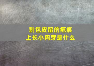 割包皮留的疤痕上长小肉芽是什么