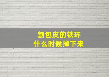 割包皮的铁环什么时候掉下来