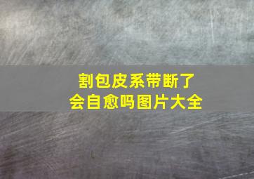 割包皮系带断了会自愈吗图片大全