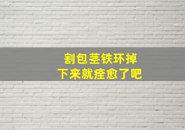 割包茎铁环掉下来就痊愈了吧