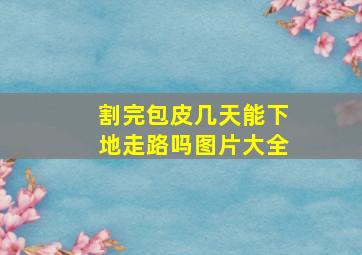 割完包皮几天能下地走路吗图片大全