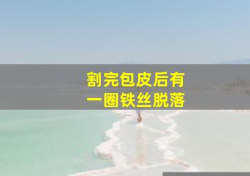 割完包皮后有一圈铁丝脱落