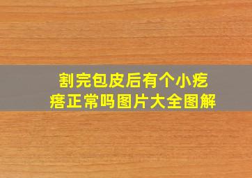 割完包皮后有个小疙瘩正常吗图片大全图解