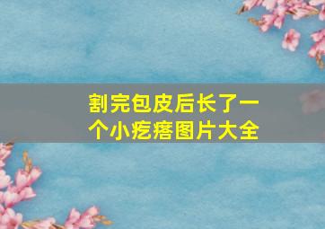 割完包皮后长了一个小疙瘩图片大全