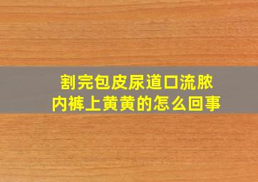 割完包皮尿道口流脓内裤上黄黄的怎么回事