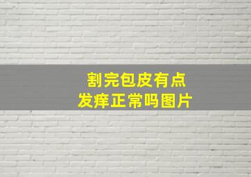 割完包皮有点发痒正常吗图片