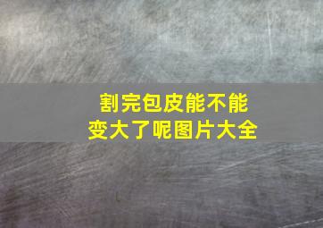 割完包皮能不能变大了呢图片大全