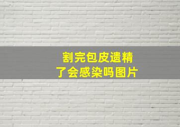 割完包皮遗精了会感染吗图片