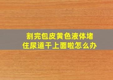 割完包皮黄色液体堵住尿道干上面啦怎么办