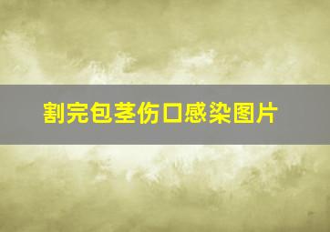 割完包茎伤口感染图片