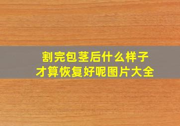 割完包茎后什么样子才算恢复好呢图片大全